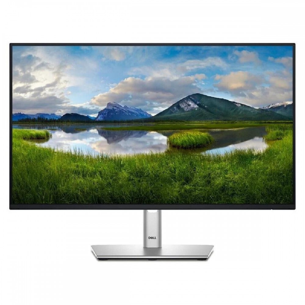 DELL P2425HE Monitor 24